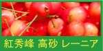紅秀峰/高砂/レーニアLL300g