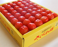 さくらんぼ化粧箱入り